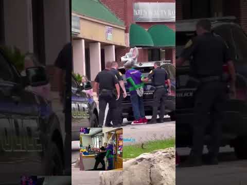 Florida Police Arrest Chuck E. Cheese Mascot While On The Job