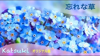 勿忘草 Youtube