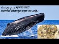 Ambergris म्हणजे काय? अंबरग्रीस सोन्याहून महाग का आहे? Ambergris कसे तयार होते? | Whale | देवमासा