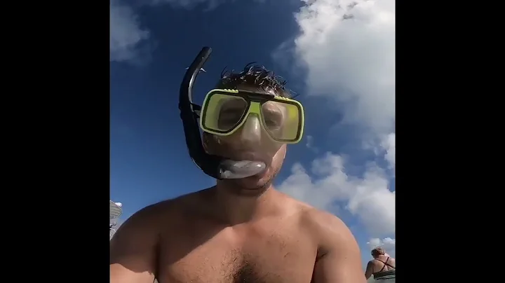 Bobby Goodman Swimming With The Sharks