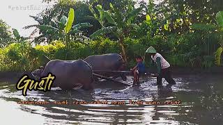 Story' wa 30dtk //aku dudu rojo// #storywahits #storywaviral #storyWa30dtk #akududurojo