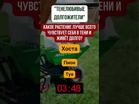 Какое растение лучше
