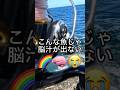 【磯釣り】このレベルの魚でも脳汁が出ない体になってしまった