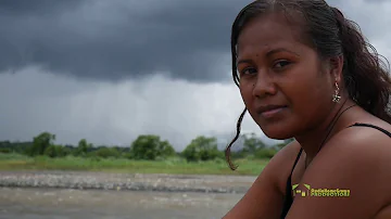 Solomon Islands music Alison