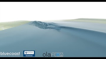 Waves breaking over artificial surfing reef (olaFlow/OpenFOAM®)