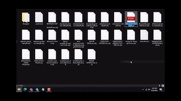 Bpws ransomware virus removal and files decryption [SOLVED] .Bpws file virus recovery