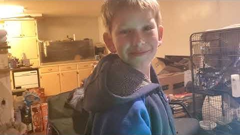 Arduino Drag Racing Starter Tree