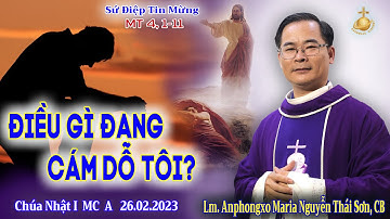 Bài Giảng CN I MC A  |  ĐIỀU GÌ ĐANG CÁM DỖ TÔI ?  |  Lm Anphonxo Maria Nguyễn Thái Sơn, CB.