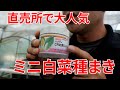 白菜の種まきのやり方#128621/8/12