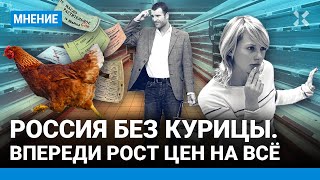 Яйца, курица… Что исчезнет из магазинов дальше? Экономика переходит на военные рельсы — экономист