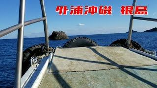 外浦 沖磯 根島 伊豆 下田 磯釣り 瀬渡し 渡船