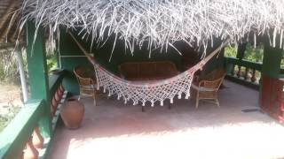 Green's Guesthouse - Auroville - India