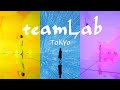 與光影共舞 - teamLab