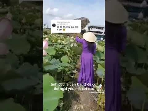 Thơ Tình Toán Học - youtube