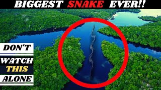 WARNING: DON'T WATCH THIS ALONE!!😨😰 || Most DANGEROUS animals in Amazon rainforest!!