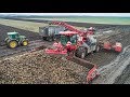 Holmer Terra Felis loading sugar beet + 14x John Deere Tractors | Zückerrüben überladen