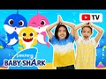 [4k] Baby Shark Doo Doo Doo | Kids Choreography | Dance Along | Baby Shark Official