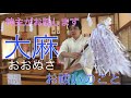【現役神主がお話します】大麻（おおぬさ）　神社のお祓いを解説　#39　miyazaki-jinja（Shinto shrine）