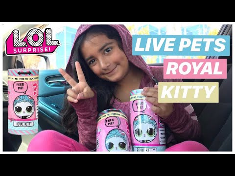 lol surprise interactive live surprise royal kitty