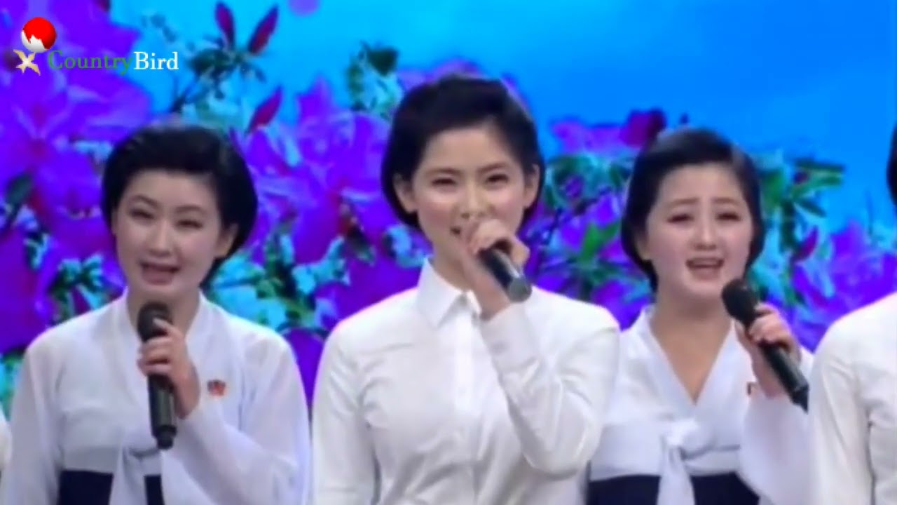 Ver 卖花姑娘 千朵万朵金达莱 no YouTube