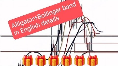  🐊 Alligator + Bollinger Band Strategy for MT4/MT5(ENGLISH)