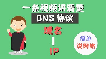 一条视频讲清楚什么是DNS协议-域名是怎么转换为IP地址的