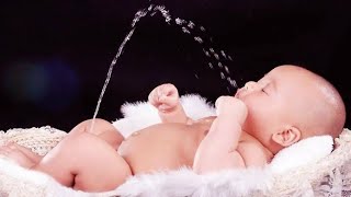 Cutest Baby Doing Funny Hilarious Things | Funny Baby Video 2022