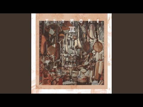 Fuerza (feat. Maleet)