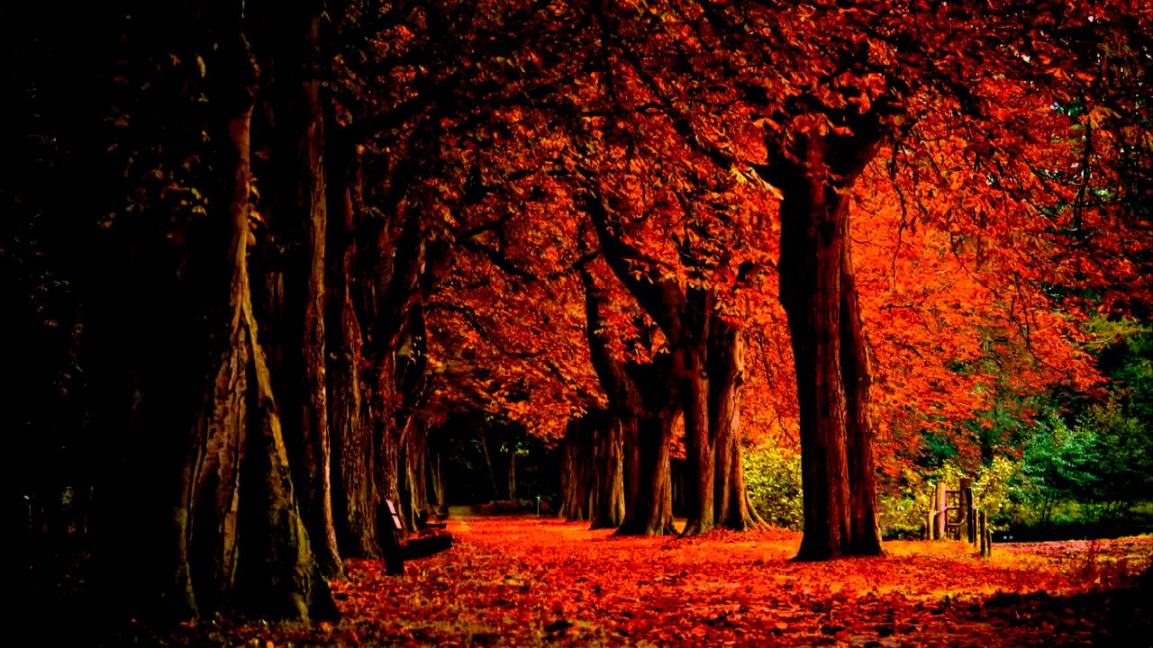 Nargaroth - Herbst (Sub - Español/English)