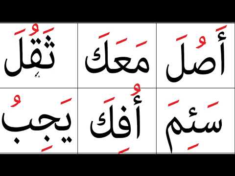 مراجعة على الحركات عربي لغة عربية تعليم محو الأمية محو الامية Reiew On Harakat