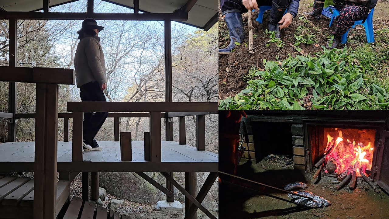 한가로운 겨울밤 🌙 | 장작불에 군고구마 🍠 구워먹기 & 시골 텃밭 시금치 캐기 🌿 ㅣRoasting Sweet Potatoes & Winter Gardening