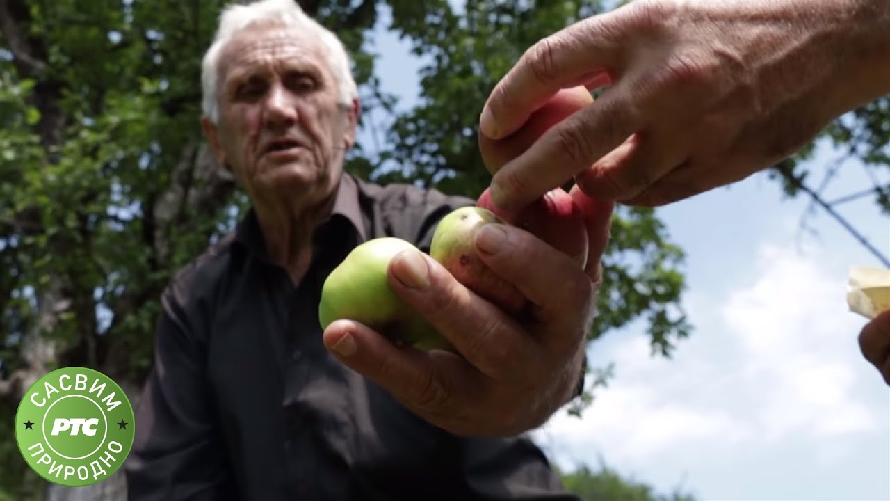 Sasvim prirodno: Divlje voće i voda sa izvora (Jovan Memedović)