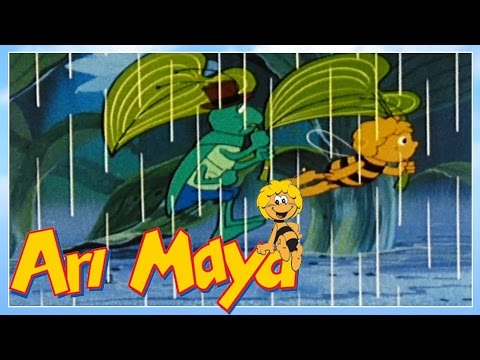 Arı Maya Bölüm 73