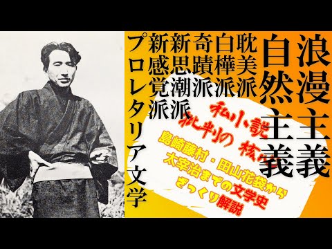 純文学の核心に迫る文学史：私小説は何故ボロクソに批判されてきたのか【改訂版】