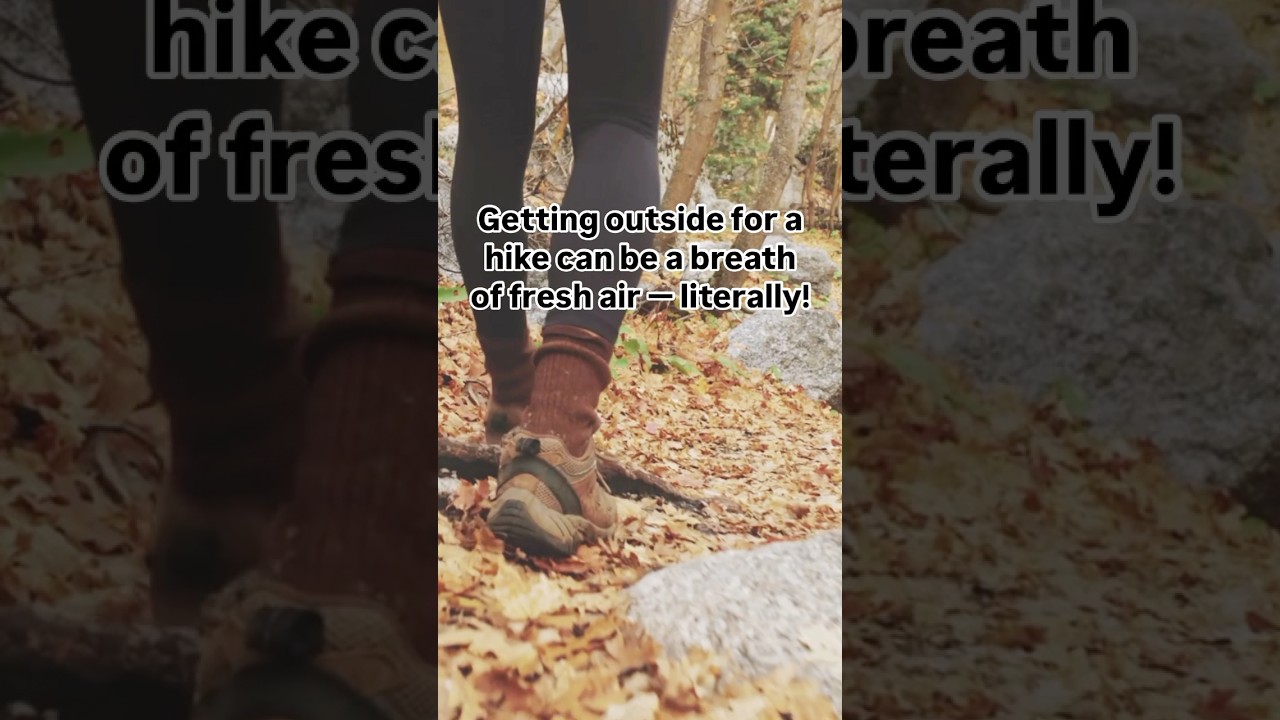 Advantages of hiking. 🏞️🌲🥾