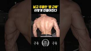 넓고 큰 '등근육' 만드는 최고의 운동 방법