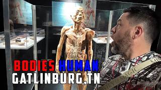 🧠 Inside the Real Human Body?! | Bodies Human in Gatlinburg