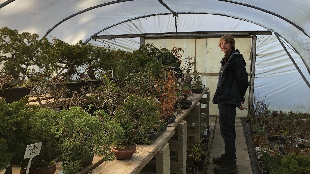 Visiting Herons Bonsai VLOG 1 YouTube