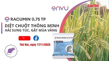 [🔴 LIVE] Tọa đàm nông nghiệp: Racumin 0.75 TP - Giải pháp diệt chuột thông minh, bảo vệ mùa vàng,...