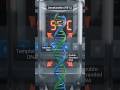 PCR Explained in few Seconds | DNA Amplification Made Easy 🧬