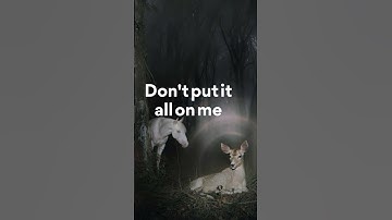 Thumbnail of Noah Cyrus feat. Fleet Foxes, Don't Put It All On Me (Lyrics - Chorus)
