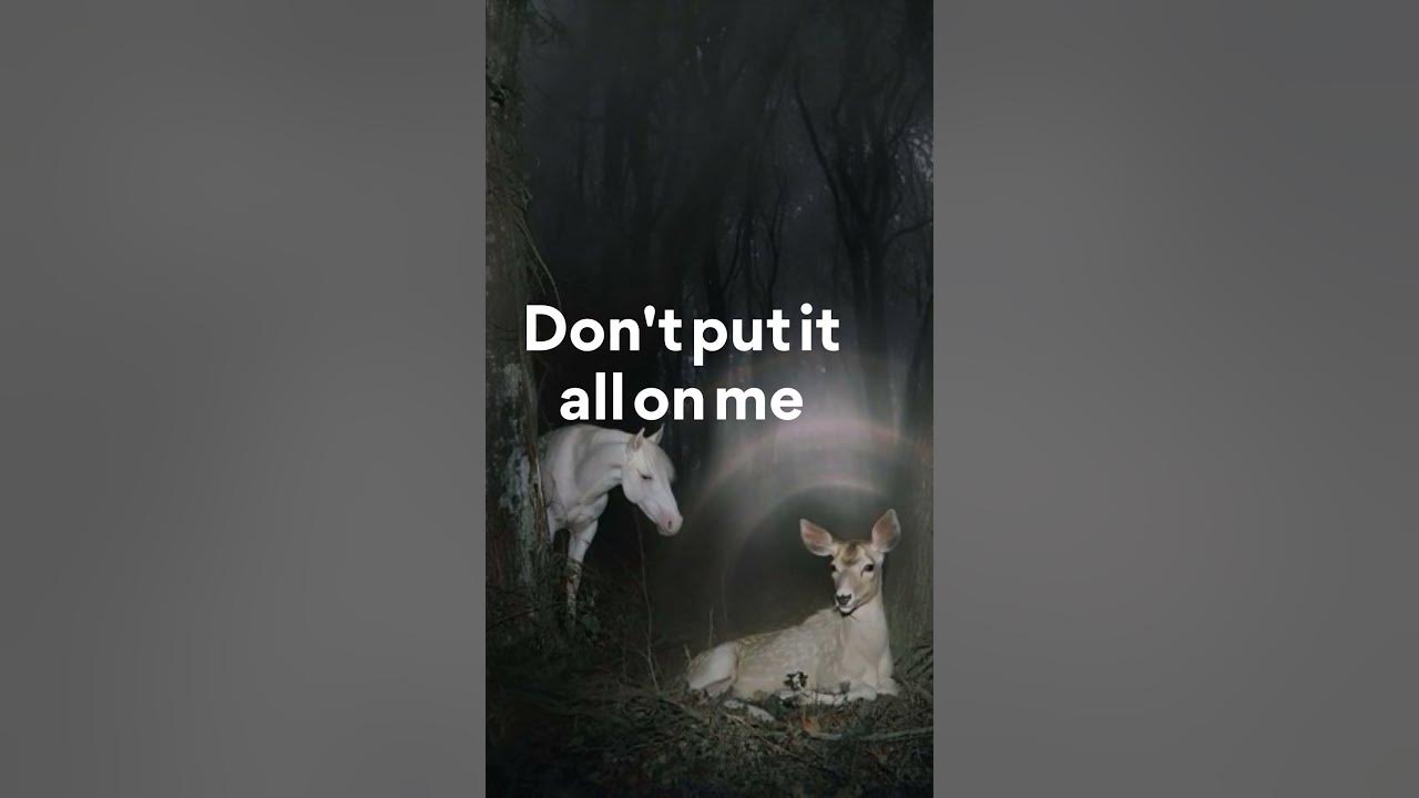 Noah Cyrus feat. Fleet Foxes, Don't Put It All On Me (Lyrics - Chorus)