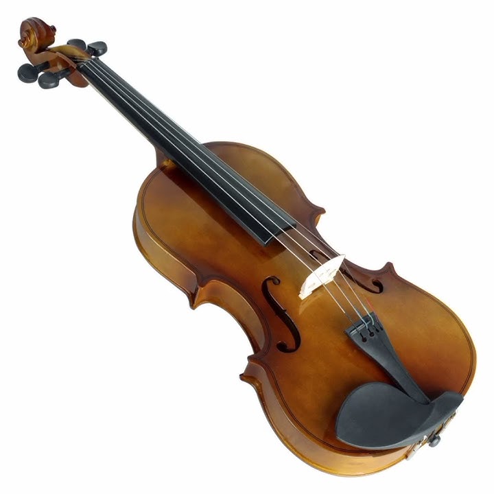 Sounds of musical instruments. Violin.
