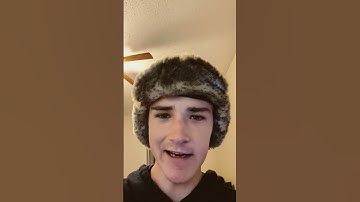 Adding a Lil Guy Companion to my Platformer #pitfallperil #indiegames #gamedevblog #jeffthelandshark