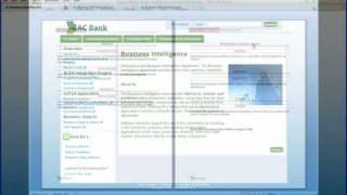 Bluenog Dynamic Web Content Management Demo