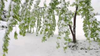 Extremely Rare Late Snow in SW Missouri, May 3 2013