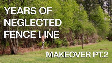 YEARS of neglected overgrown fence line Yard Makeover Part 2 (Oddly Satisfying)