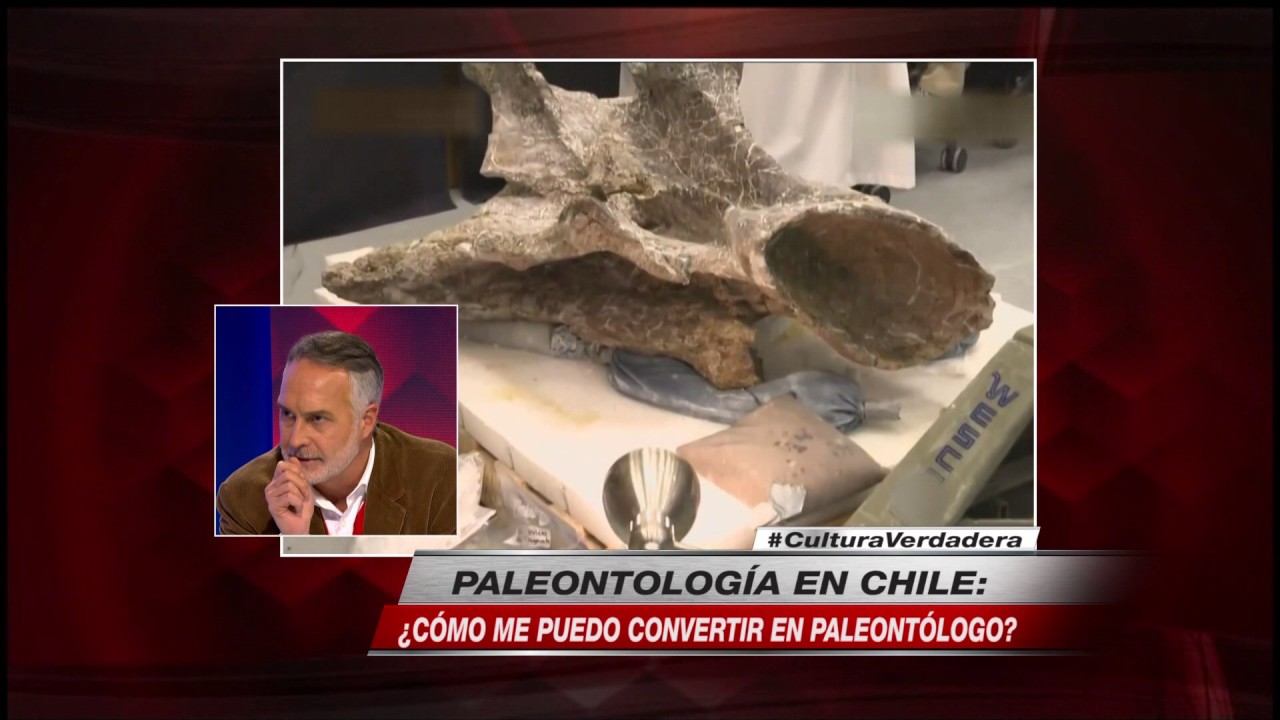 ¿Cómo convertirse en paleontólogo en Chile?