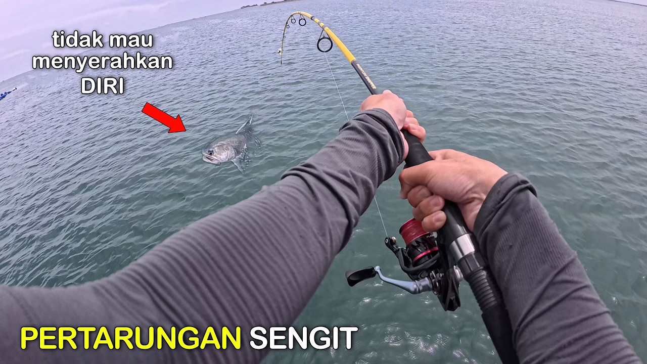 Pertarungan SENGIT Melawan Tarikan Ikan Besar 😱 Bagan Kamal || Mancing Gaes