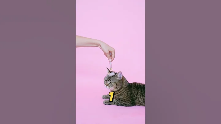 Guess the AI Clip (Most People Get It Wrong!) Wait to the end!